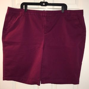 Plus size shorts size 24w color Miami Beet